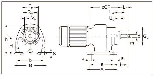 Вариант исполнения ACP 25