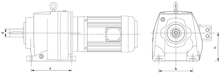 Flender Motox-N (Лапы)